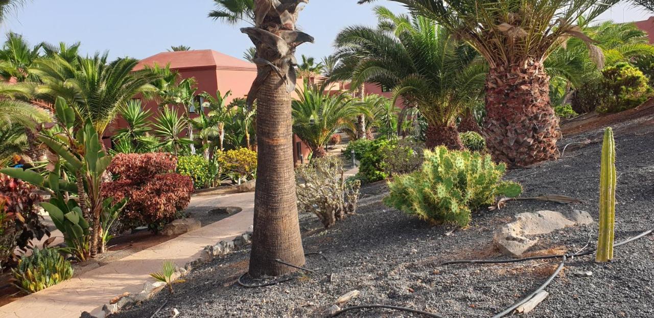 דירות קורלחו Tamarindo I Piscinas De Agua Salada מראה חיצוני תמונה